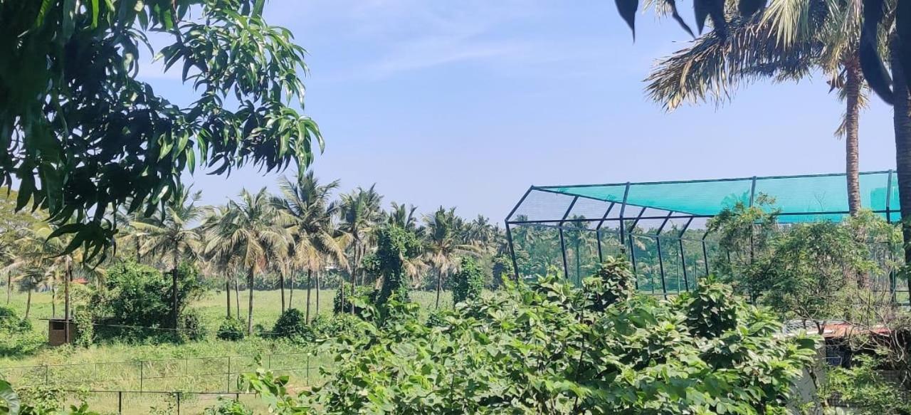 White House Villa Thrissur Ngoại thất bức ảnh